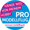 ProModellflug