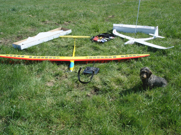 EasyGlider und Champion auf der Wiese
